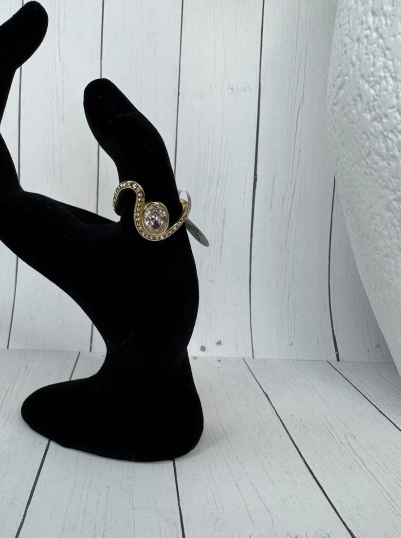 Anillo Niza